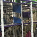 Wycieczka LSO i DSM (22)